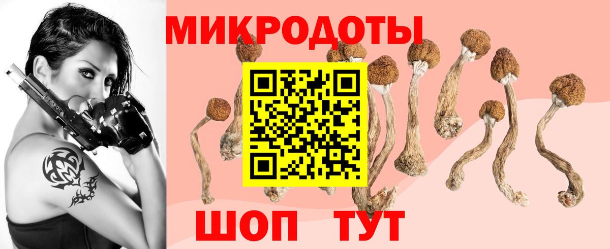 Миасс  Псилоцибиновые грибы Magic Shrooms  Вход с VPN 